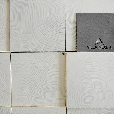 Oda ve Kahvaltı Nosal - 3*