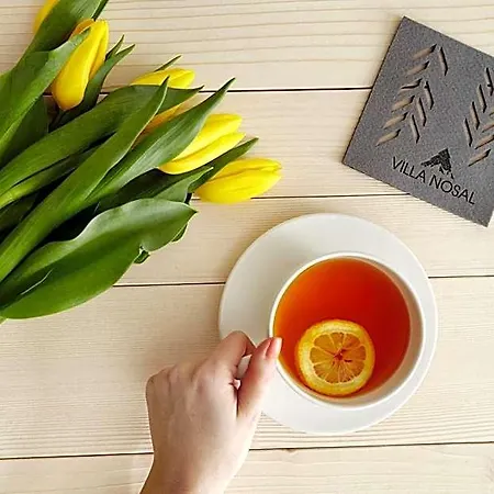 Bed & Breakfast Nosal - Zakopane