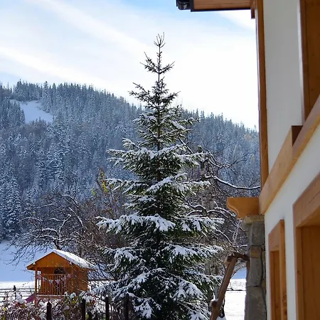 Bed and Breakfast Nosal - 3*