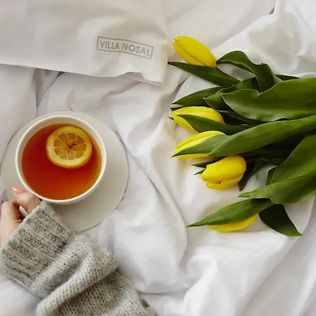 Bed & Breakfast Nosal - 3*