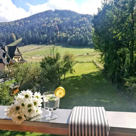 Bed and breakfast Nosal - *