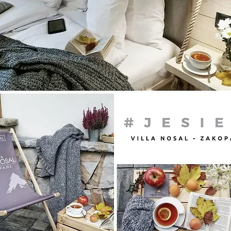 Oda ve Kahvaltı Nosal - 3*