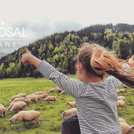 Nosal - Oda ve Kahvaltı Zakopane