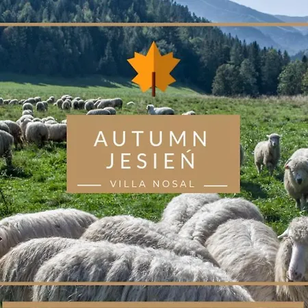 Nosal - Bed & Breakfast