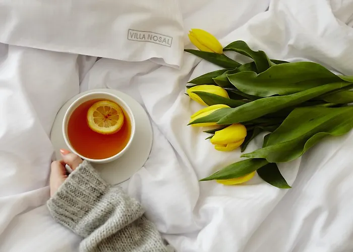 Bed and breakfast Nosal - 3*