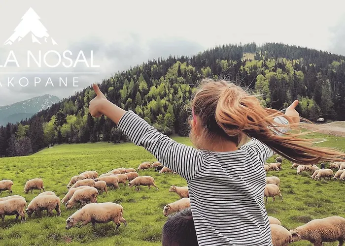 Nosal - Bed and breakfast Zakopane