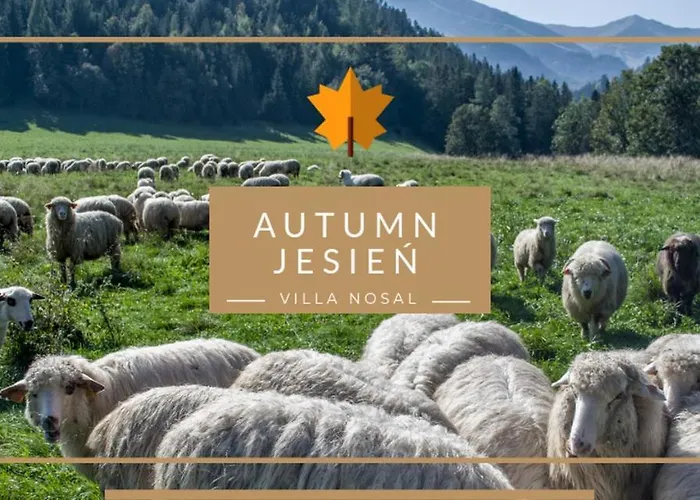 Nosal - Bed and breakfast